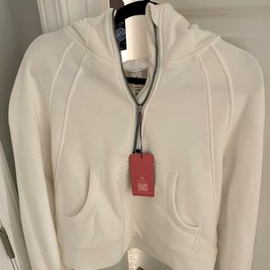 The gym shark cropped quarter zip hoodie